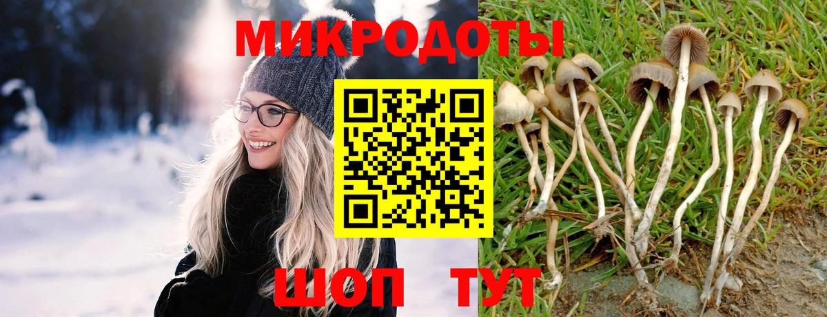 Псилоцибиновые грибы мухоморы Озёры